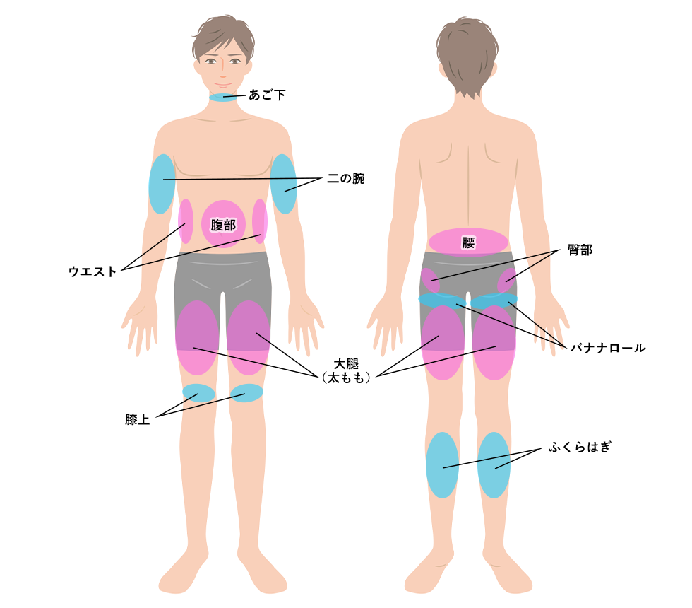 男性のトゥルースカルプiDの対応部位